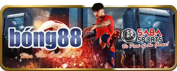 Biểu tượng công bằng và minh bạch